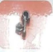 Покер  пластм.крепежный  "Masuma"   015-K